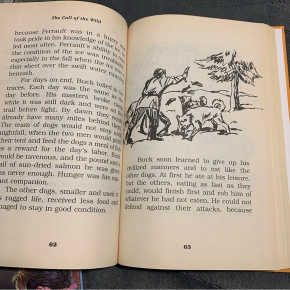 Illustrated classics set of 2 oliver twist - Picture 9 of 10